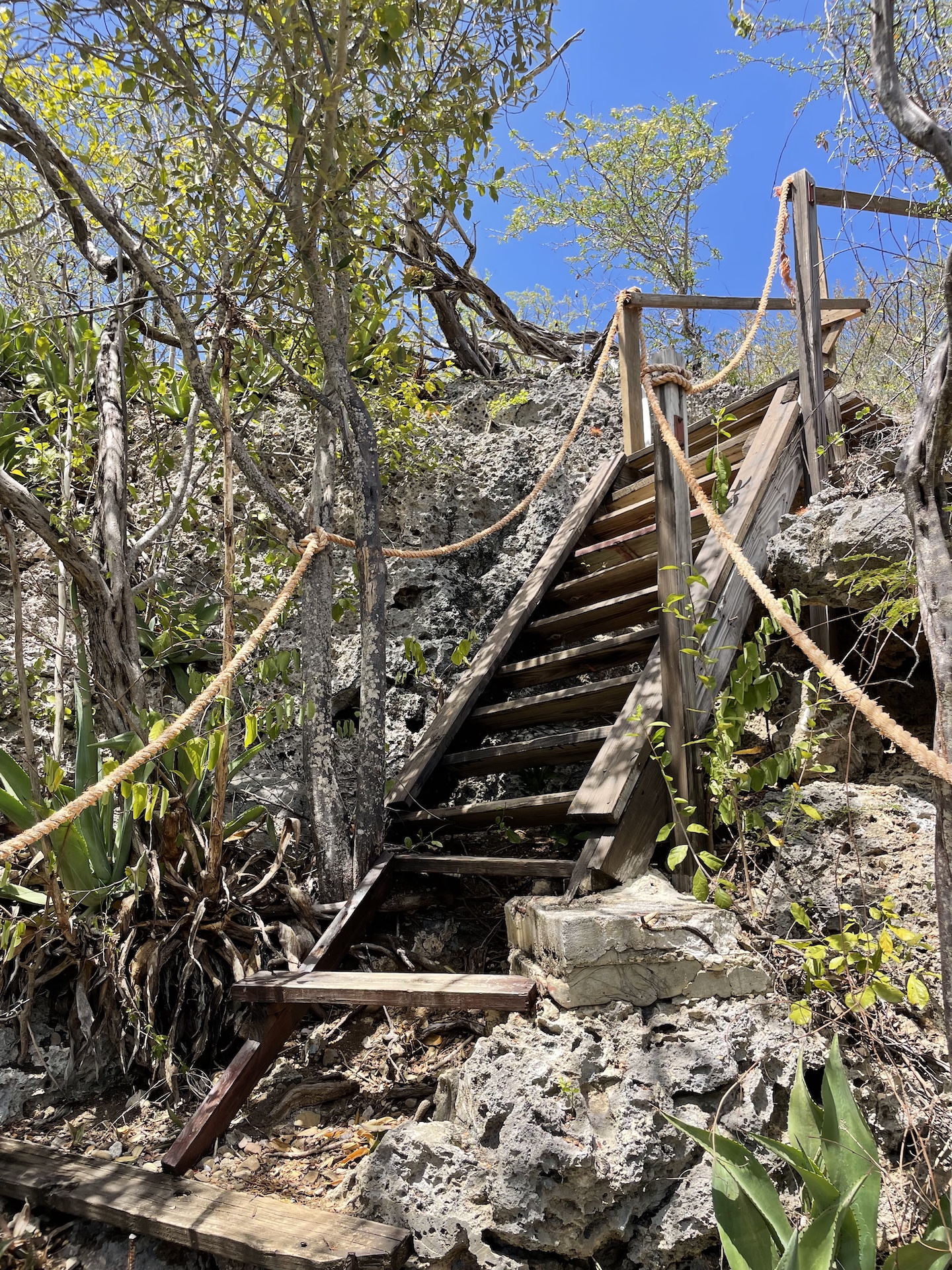 recommendation image