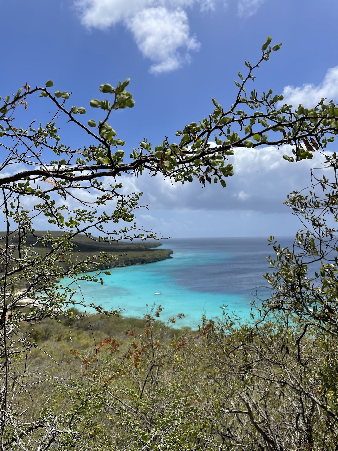 recommendation image