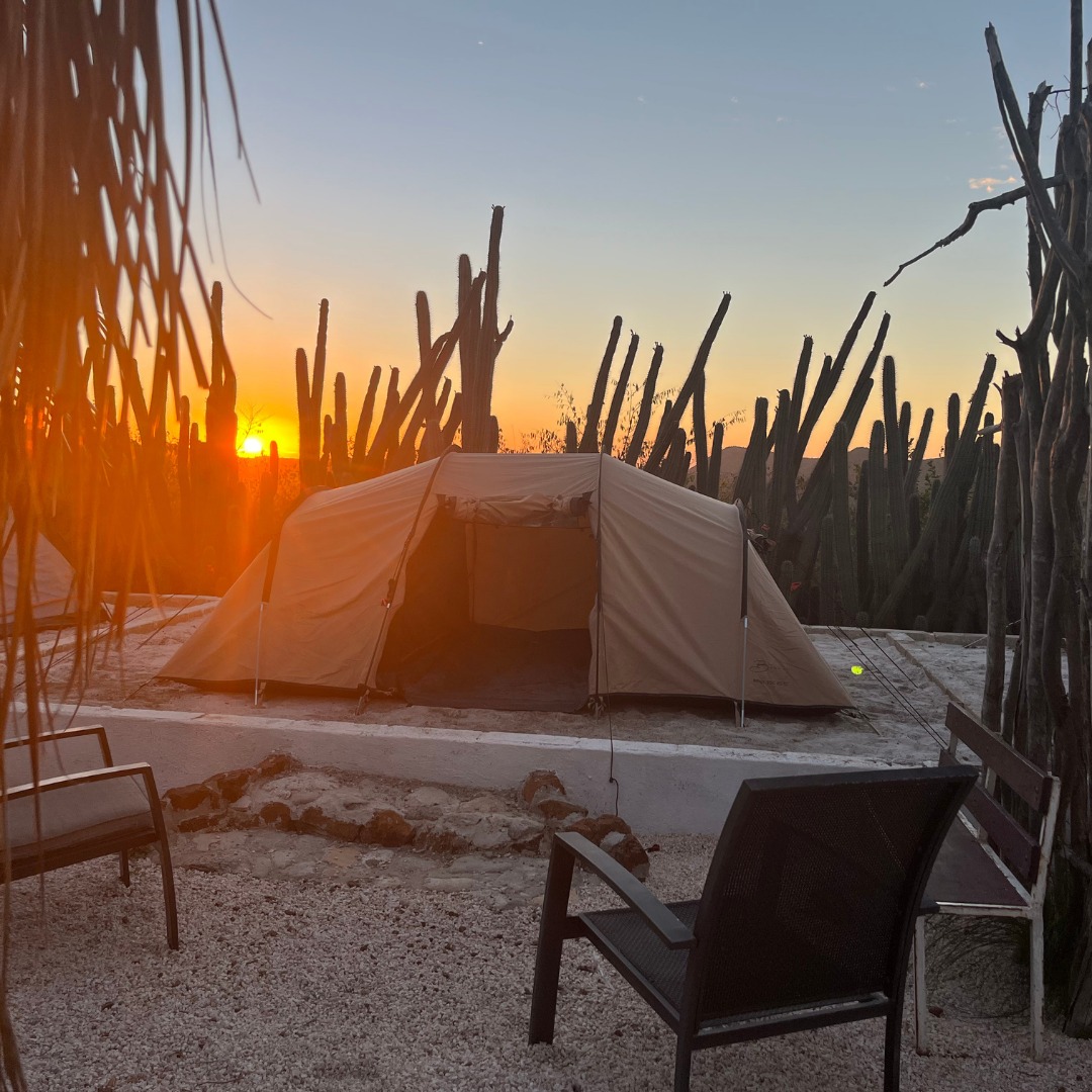 Shelterrock Paradise Camping