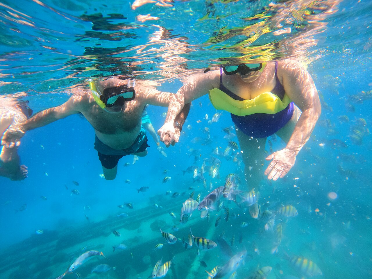 Snorkeling Solo - Folkestone