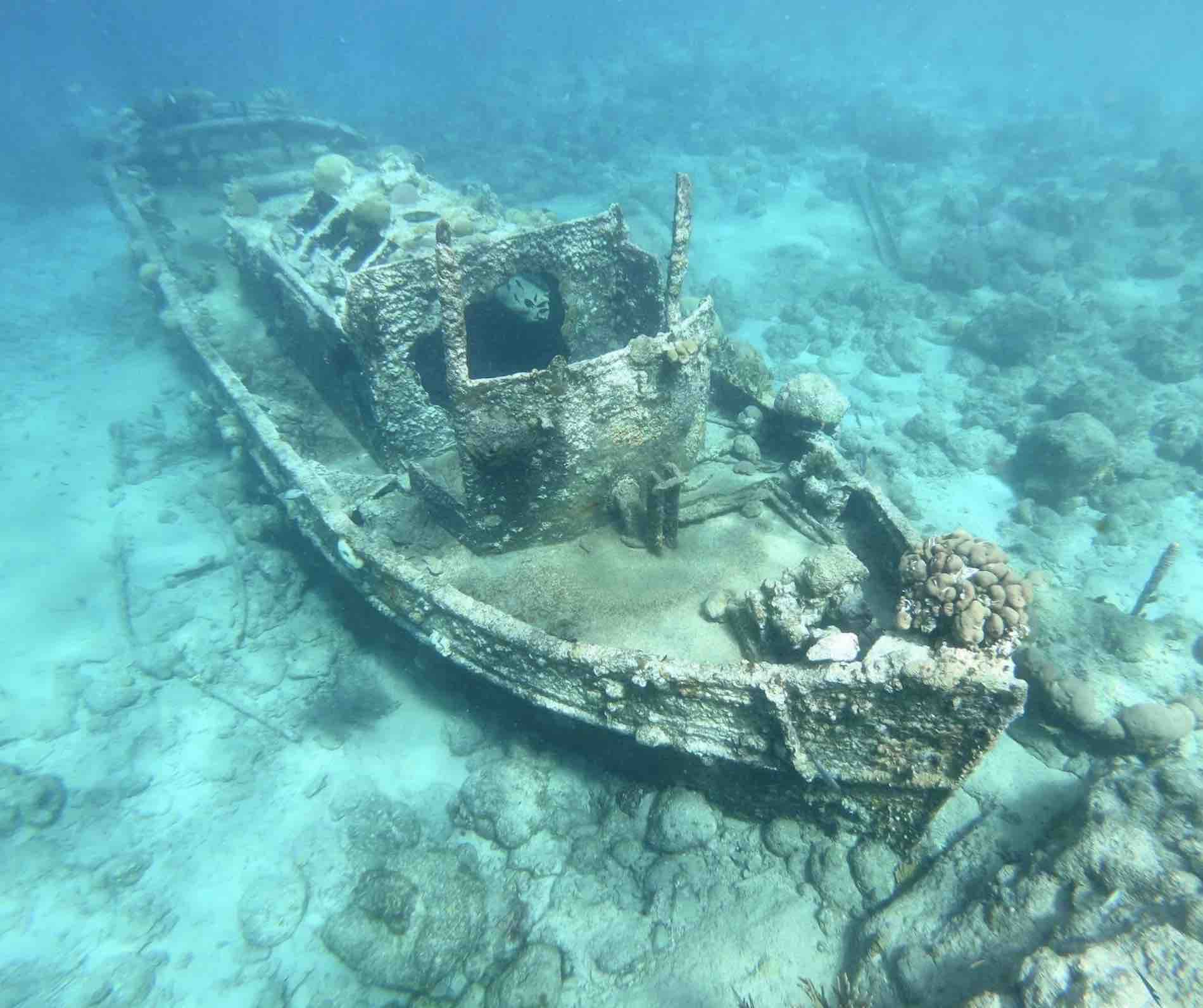 Snorkeling at Tugboat Beach