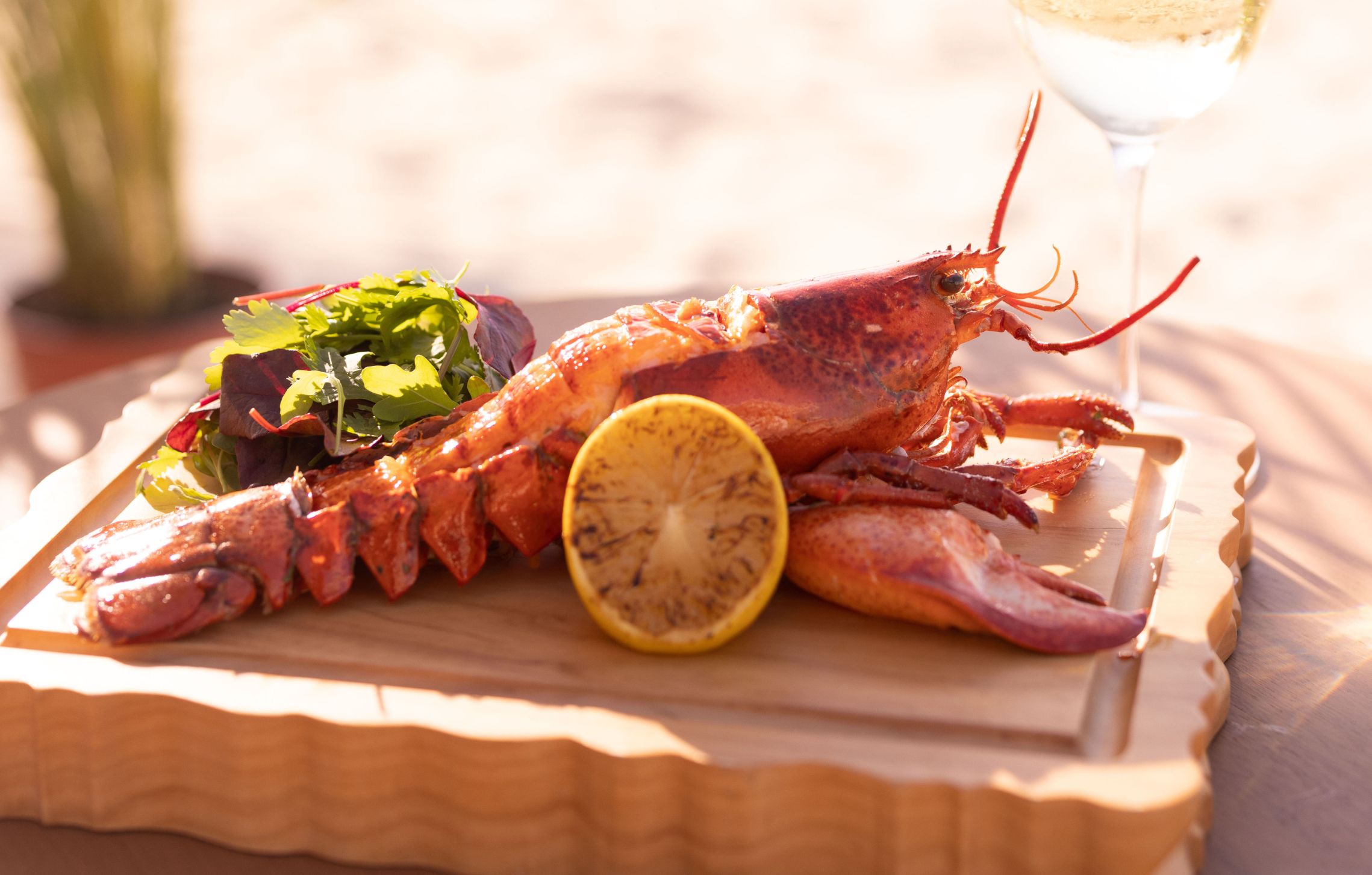 recommendation image