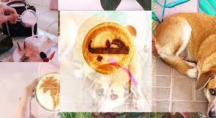 recommendation image