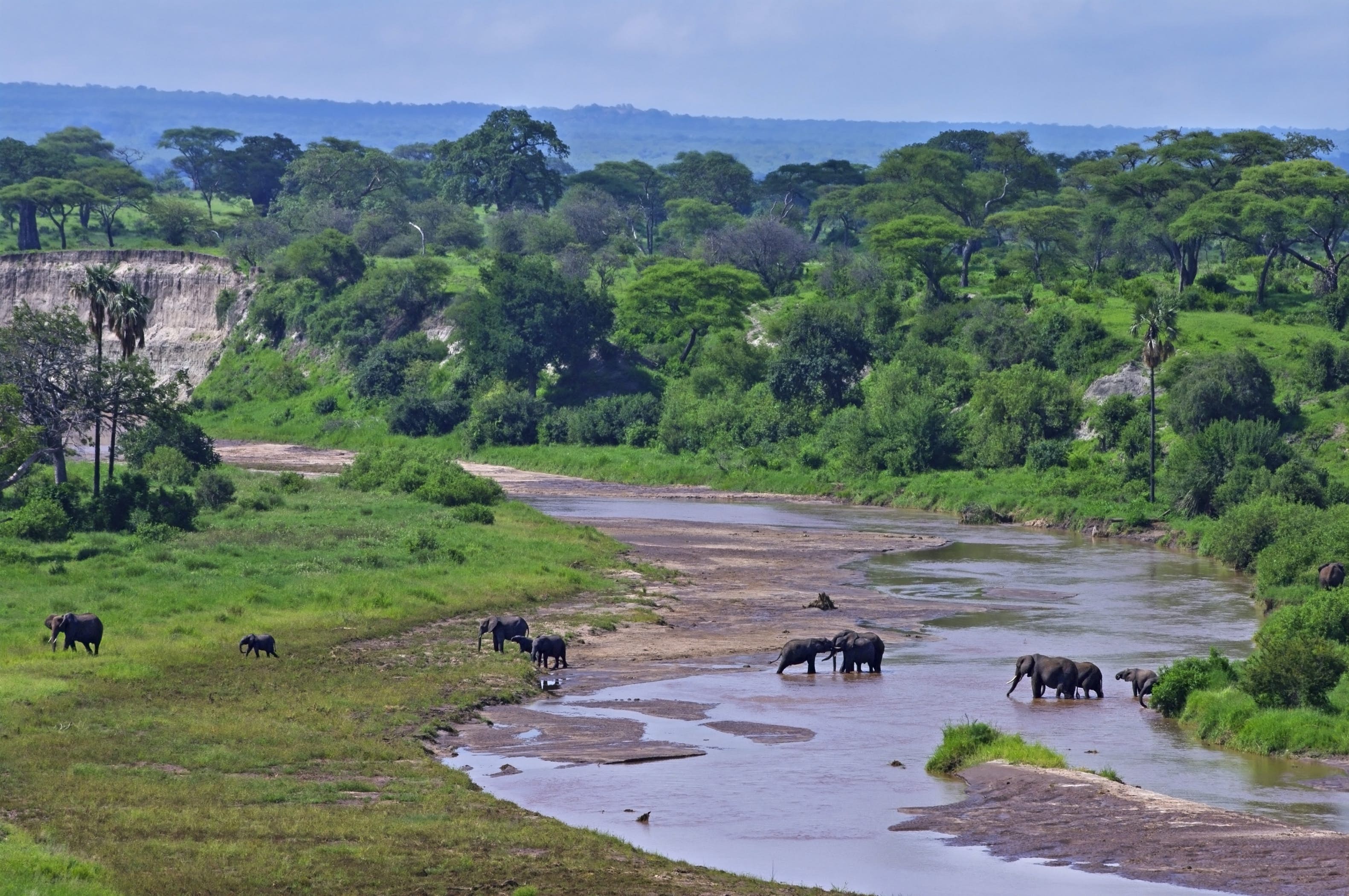 Tarangire National Park