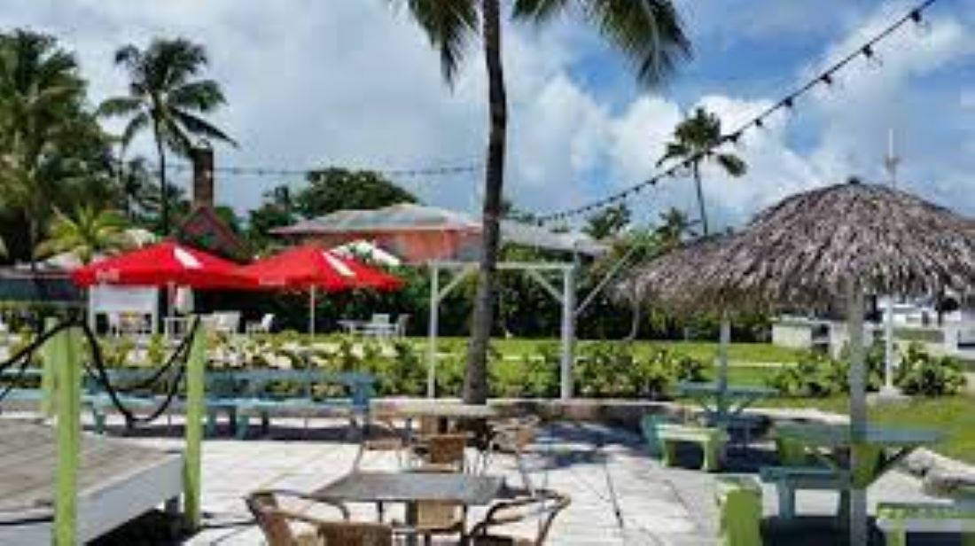 The Green Parrot - Harbour Front