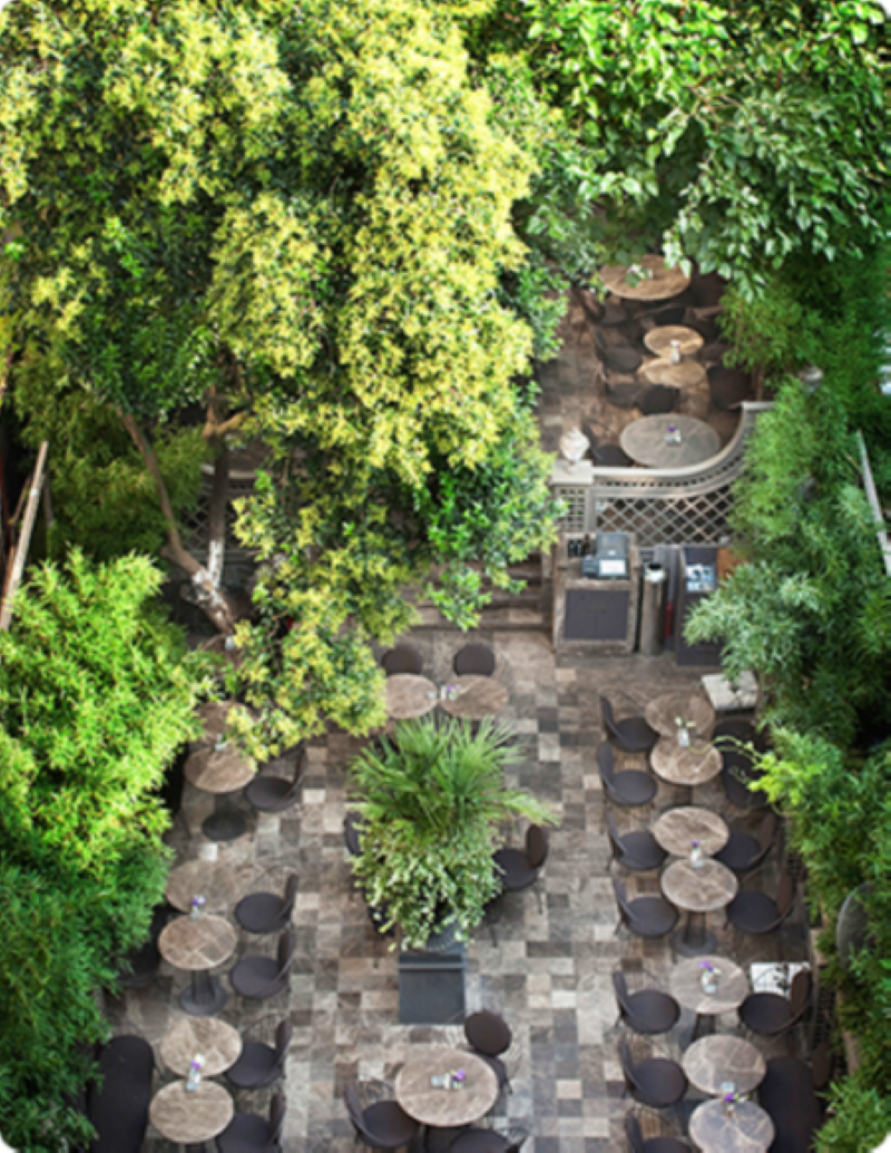 The House Cafe Atiye