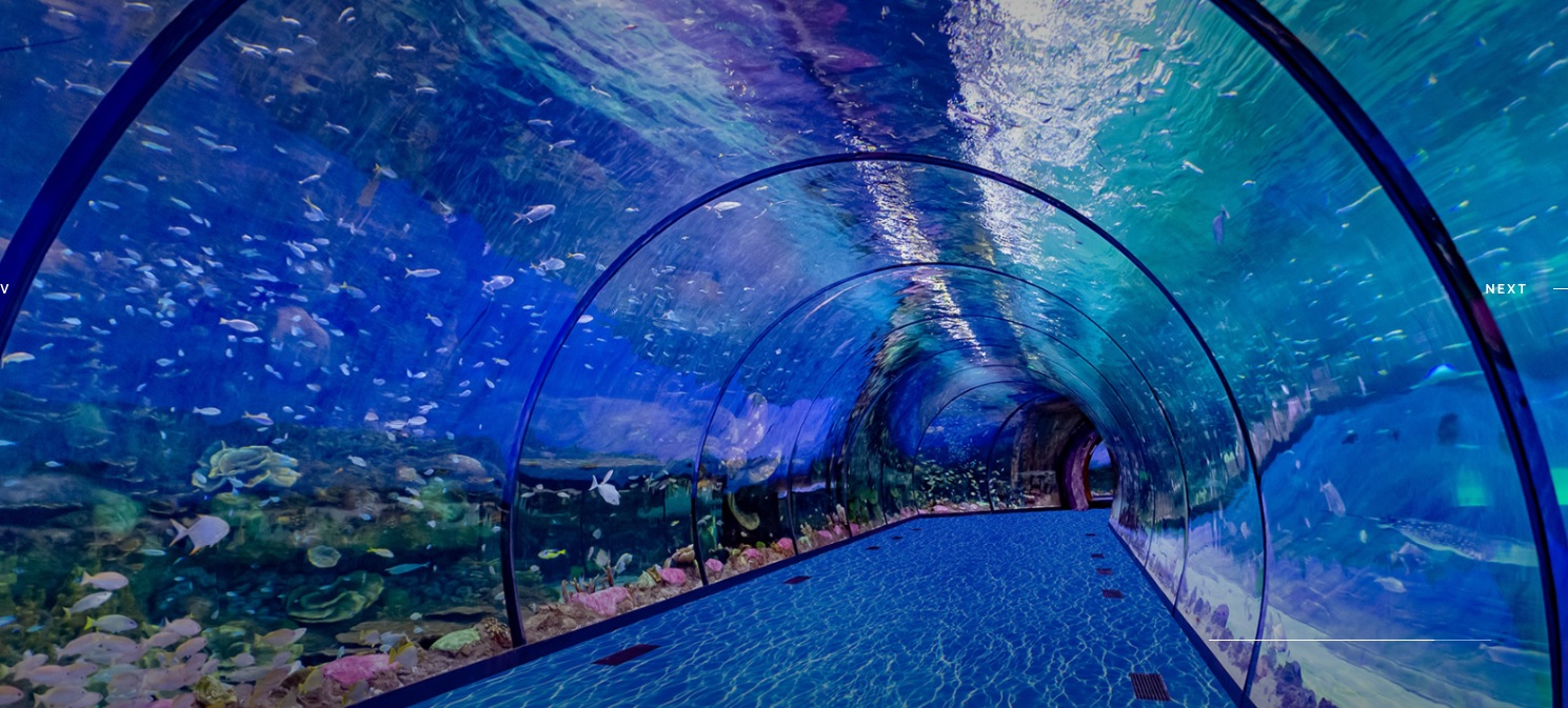 The National Aquarium Al Qana