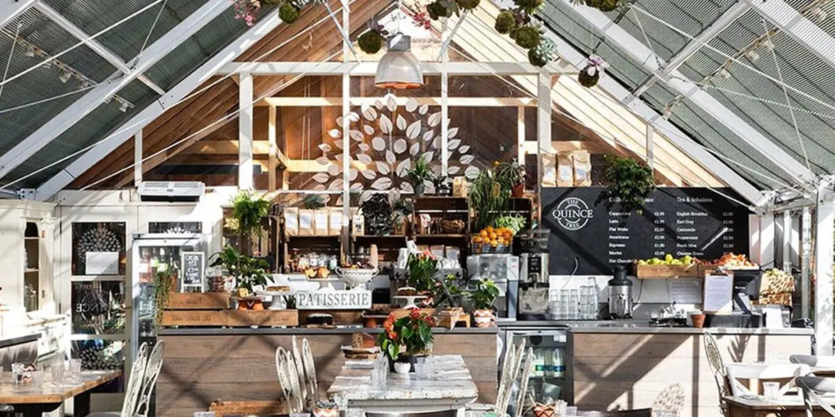 The Quince Tree at Clifton Nurseries