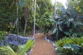 recommendation image