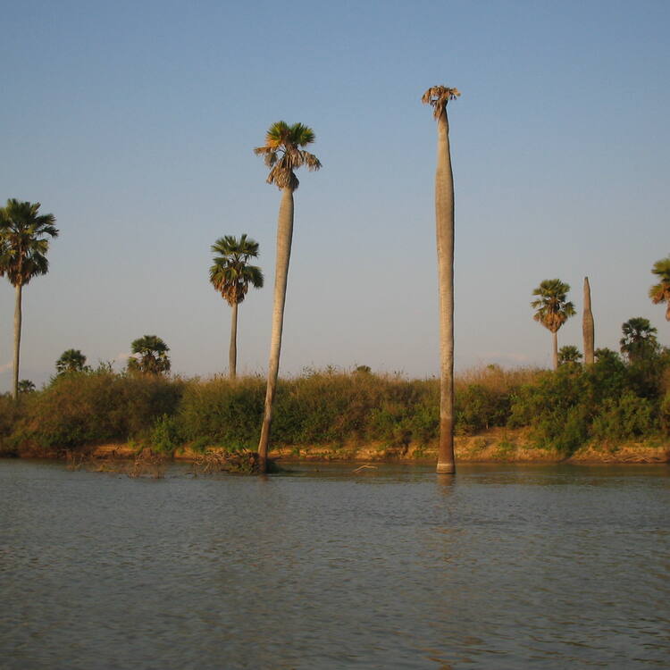 recommendation image