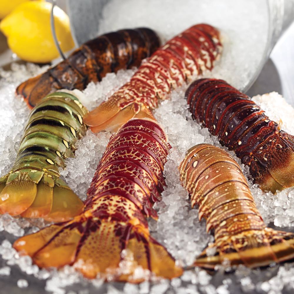 recommendation image