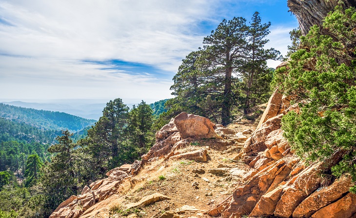 recommendation image