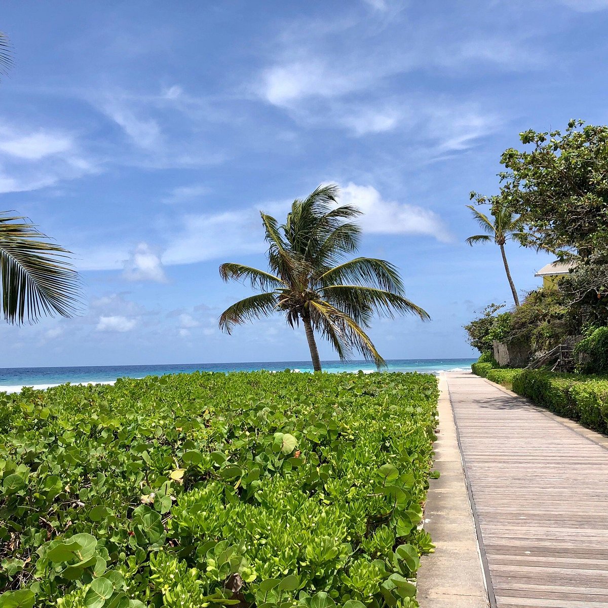 Walk on The Richard Haynes Boardwalk