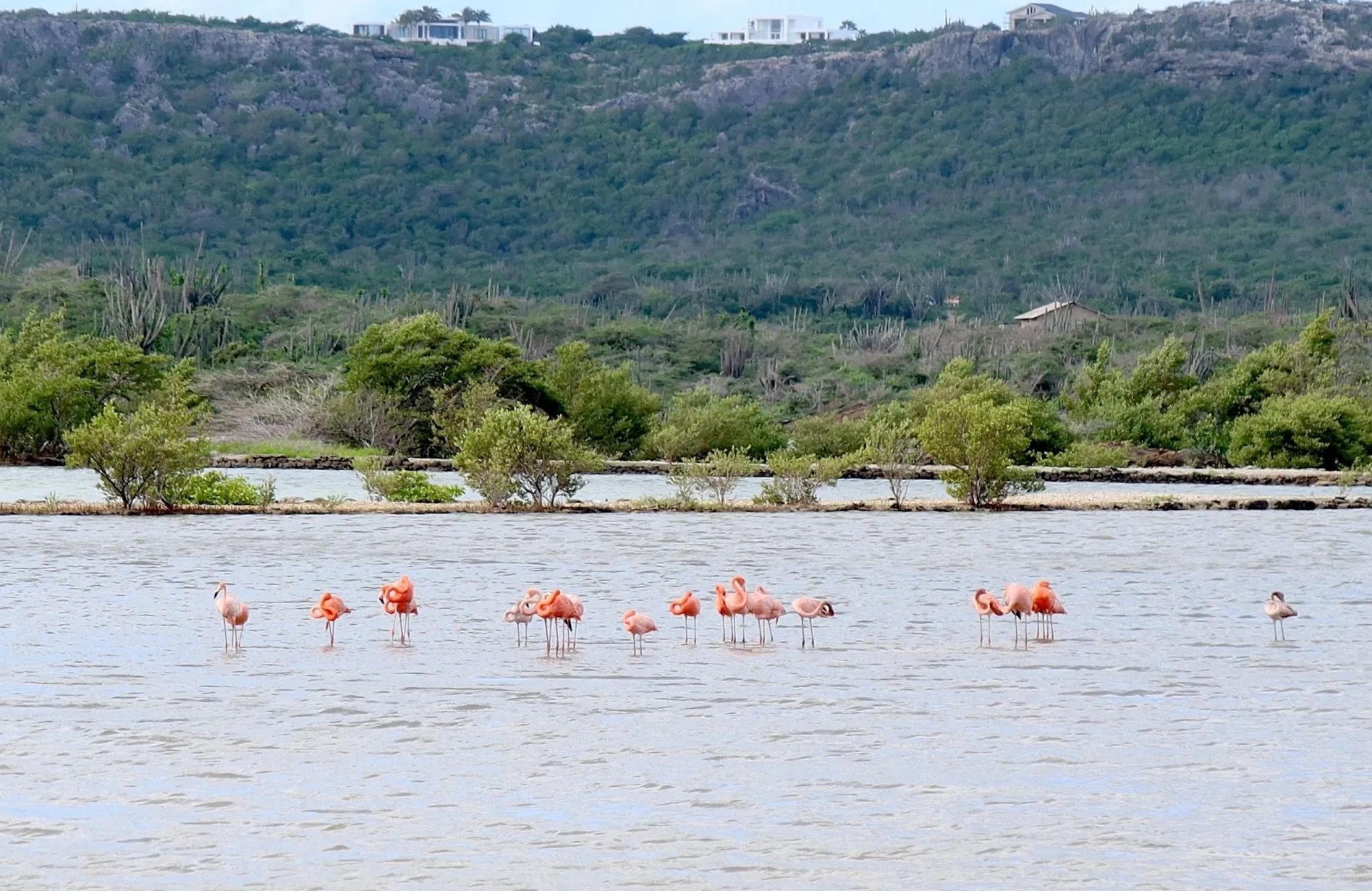 recommendation image