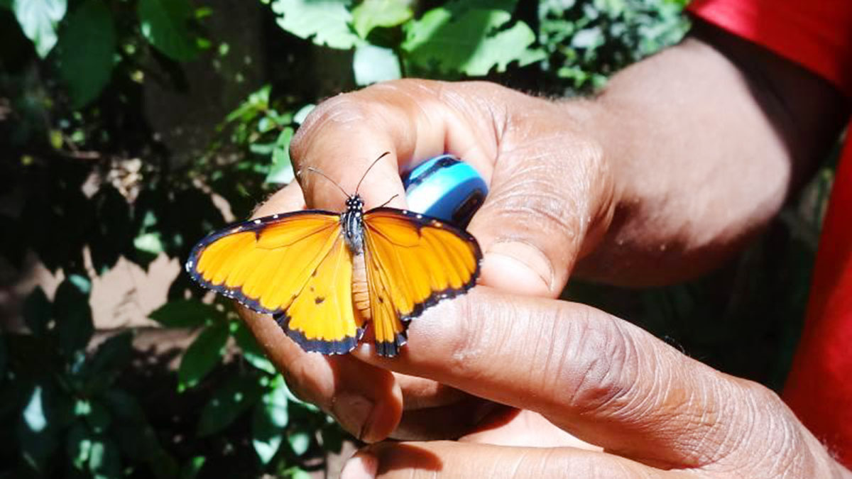 recommendation image