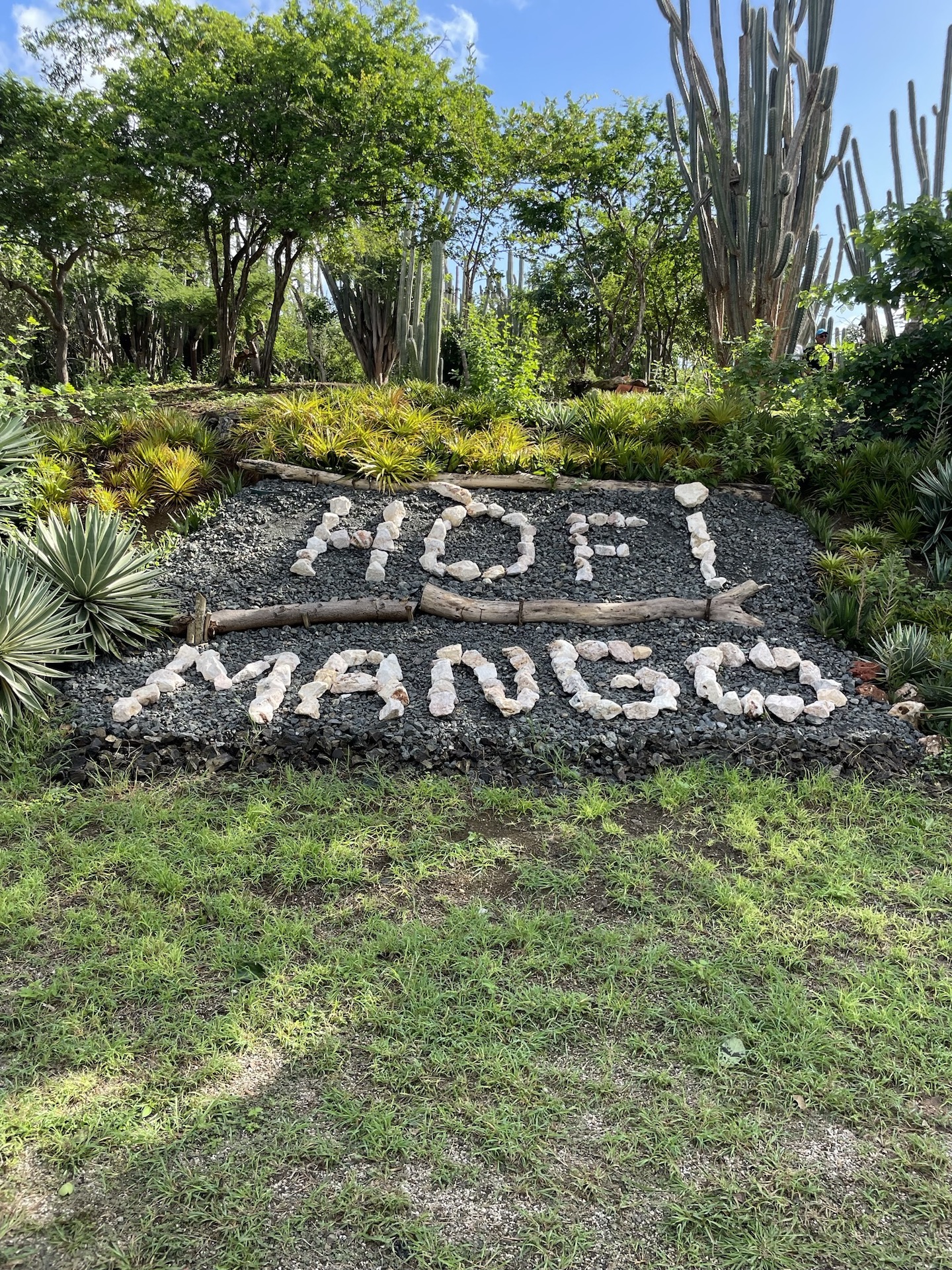 Hofi Mango