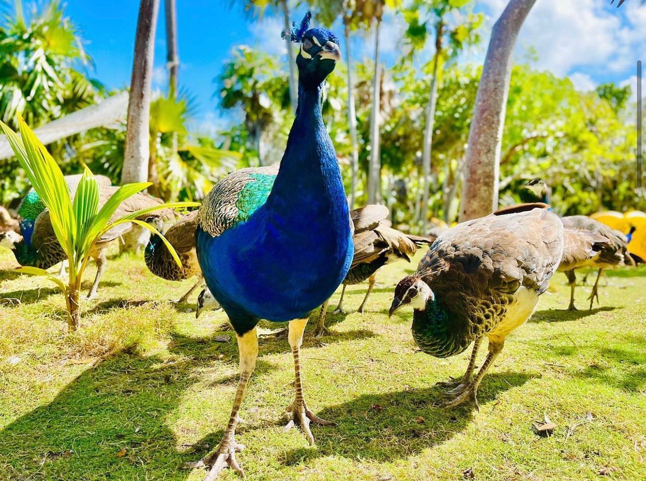 recommendation image