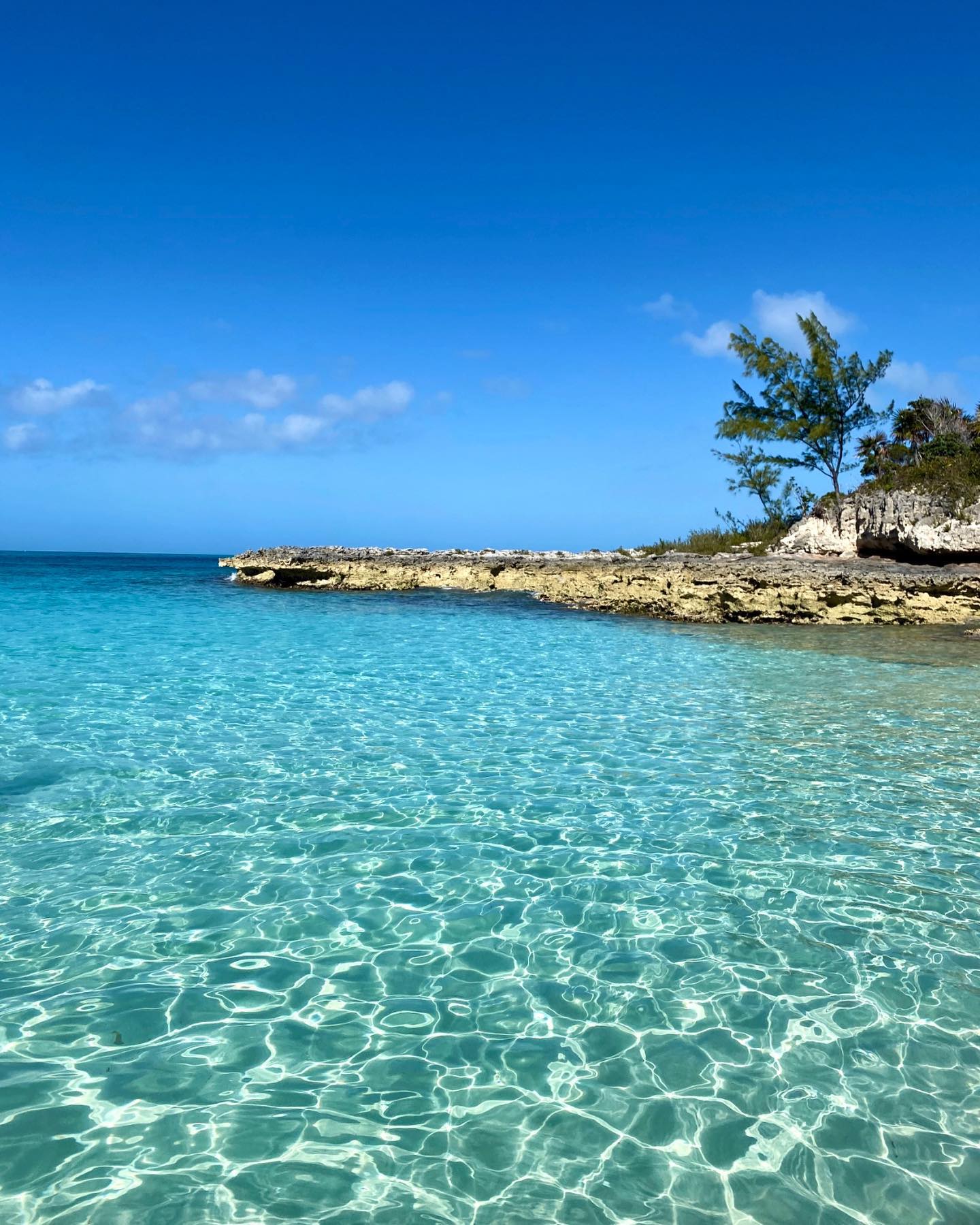 recommendation image